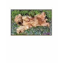 Sleeping Puppy t-shirts