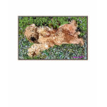 Sleeping Puppy Tee Shirt