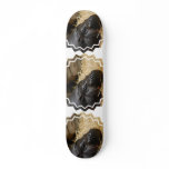 Sleeping Pygmy Hippo  Skateboard