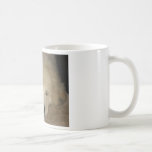 Sleeping Pyr Mug