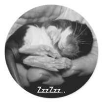 Sleeping Rattie Sticker by Mel669 Sleeping Rattie Sticker