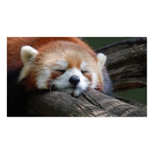 Sleeping Red Panda  Business Card (back side)