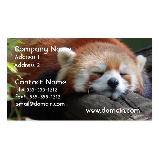 Sleeping Red Panda  Business Card (front side)