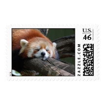 Sleeping Red Panda  Postage Stamp