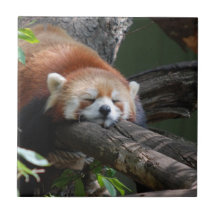 Sleeping Red Panda Tile