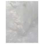 Sleeping Rhino head shot Letterhead Design