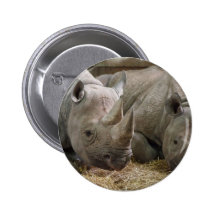 Sleeping Rhinos Button