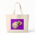 Sleeping Seal Point and Blue Point Siamese Cats bags