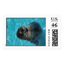 "SLEEPING SEAL" postage by crrfan "SLEEPING SEAL" postage