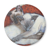 Sleeping Siamese Cat Art Fridge Magnets