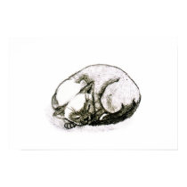 Sleeping Siamese posters