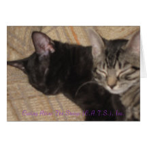 Sleeping Sisters Cards