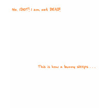 Sleeping Stewie - Dead Bunny t-shirts