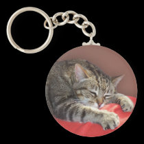Sleeping Tabby keychains