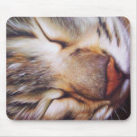 Sleeping Tabby Mousepads