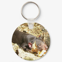 sleeping tasmania keychains
