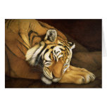 sleeping tiger cards