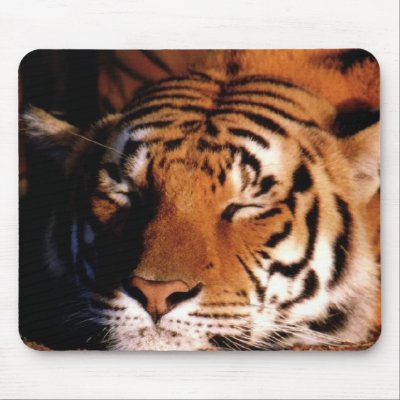 "Sleeping Tiger" Mousepad by kokobaby