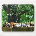 Sleeping Tiger mousepad