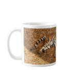 Sleeping Tiger Mug