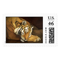 sleeping tiger postage