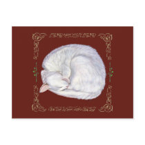 Sleeping Treasure White Cat Postcards