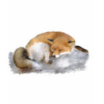 SLEEPING!  t-shirts
