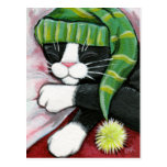 Sleeping Tuxedo Cat with Nightcap Art Postcard postcards