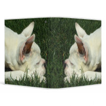 Sleeping white boxer dog binder