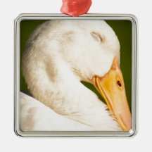 Sleeping White Ducd Christmas Tree Ornament