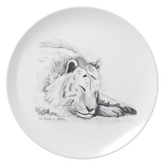 Sleeping White Tiger head and paws Pencil Drawing plate