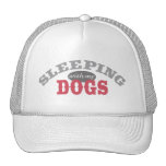 SLEEPING with my DOGS Mesh Hat