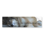 Sleeping Wolf Bumper Sticker