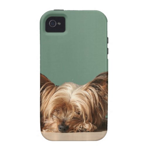 Sleeping Yorkie Dog iPhone 4 Case iPhone 4 Cases