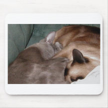 SleepingKitties Mouse Pads