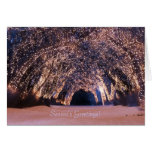 "Sleepwalker Wood (Night)" Christmas Card