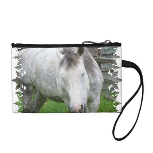 Sleepy Appaloosa Coin Purse