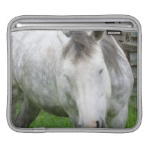 Sleepy Appaloosa iPad Sleeve