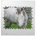 Sleepy Appaloosa Set of four Napkins