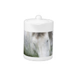 Sleepy Appaloosa Teapot