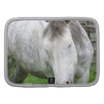 Sleepy Appaloosa Wallet Folio Folio Planner