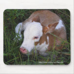 Sleepy Baby calf mousepad