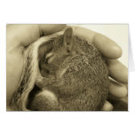 Sleepy Baby Card