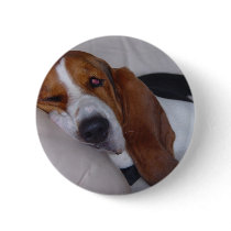Sleepy Basset Hound Pinback Button
