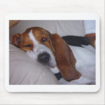 Sleepy Basset Hound mousepads
