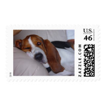 Sleepy Basset Hound Postage Stamp