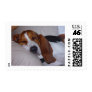 Sleepy Basset Hound Postage Stamp