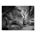 Sleepy Bastian posters