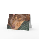 Sleepy Bloodhound Greeting Cards