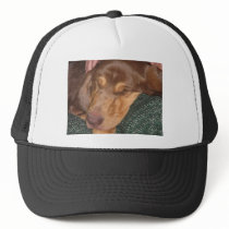 Sleepy Bloodhound hats by LuraDee Sleepy Bloodhound hats